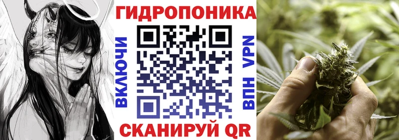 Псилоцибиновые грибы Нелидово