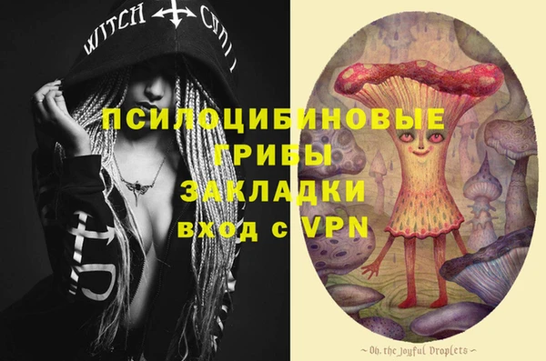 тгк Инта