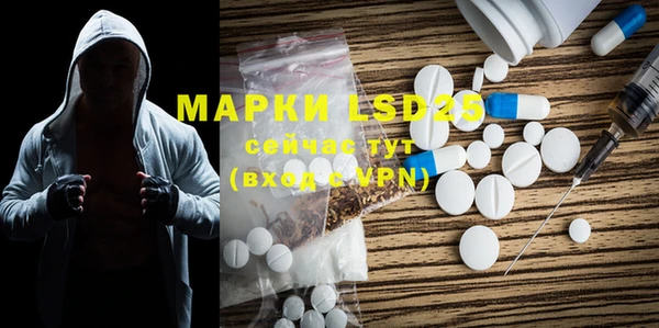 тгк Инта