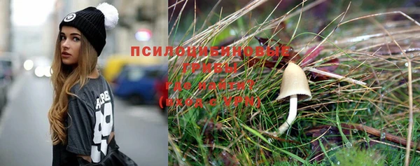 прущие крисы Инсар