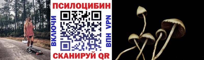 Псилоцибиновые грибы Psilocybe  Купить закладки  Нелидово 
