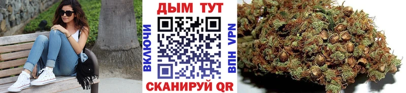 Бошки Шишки THC 21%  Купить закладки  Нелидово 